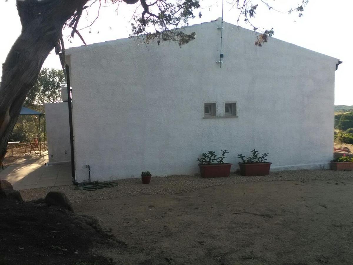 Mauro alloggi e camere Palau Esterno foto